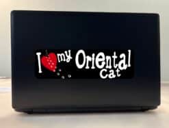 10in x 3in I Love My Oriental Cat Bumper Sticker Vinyl Truck Win