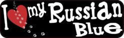 russian blue