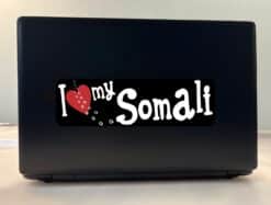 10in x 3in I Love My Somali Bumper Sticker Vinyl Truck Window Cat Decal