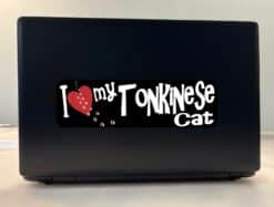 10in x 3in I Love My Tonkinese Cat Bumper Sticker Vinyl Window Pet Decal