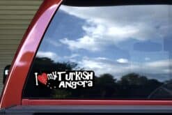 10in x 3in I Love My Turkish Angora Bumper Sticker Vinyl Window Cat Decal