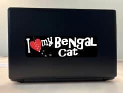 10in x 3in I Love My Bengal Cat Bumper Sticker Vinyl Truck Window Decal