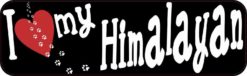 himalayan