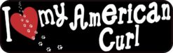 american curl
