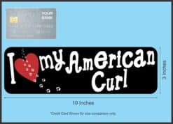 10in x 3in I Love My American Curl Bumper Sticker Vinyl Window Pet Decal
