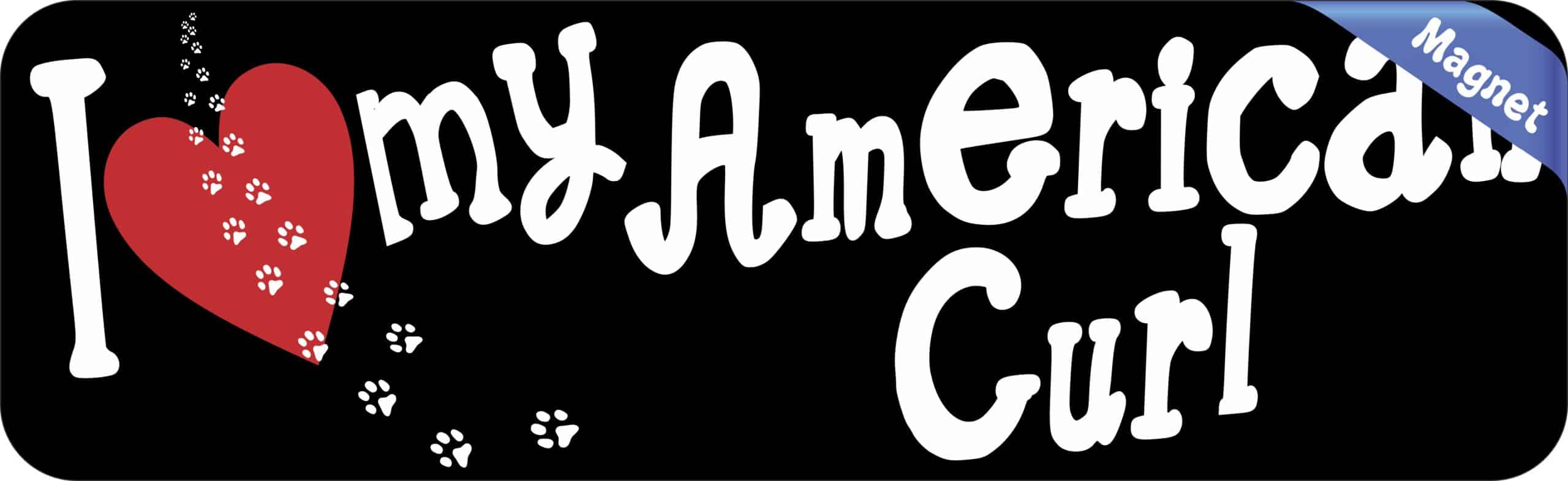 10in x 3in I Love My American Curl Magnet Magnetic Cat Truck Magnets