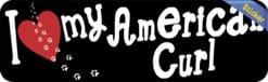 10in x 3in I Love My American Curl Bumper Sticker Vinyl Window Pet Decal