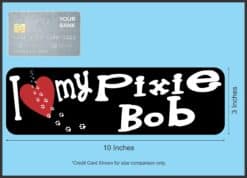 10in x 3in I Love My Pixie Bob Bumper Sticker Cat Vinyl Truck Window Decal