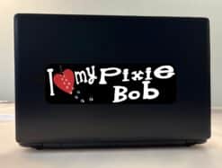 10in x 3in I Love My Pixie Bob Bumper Sticker Cat Vinyl Truck Window Decal