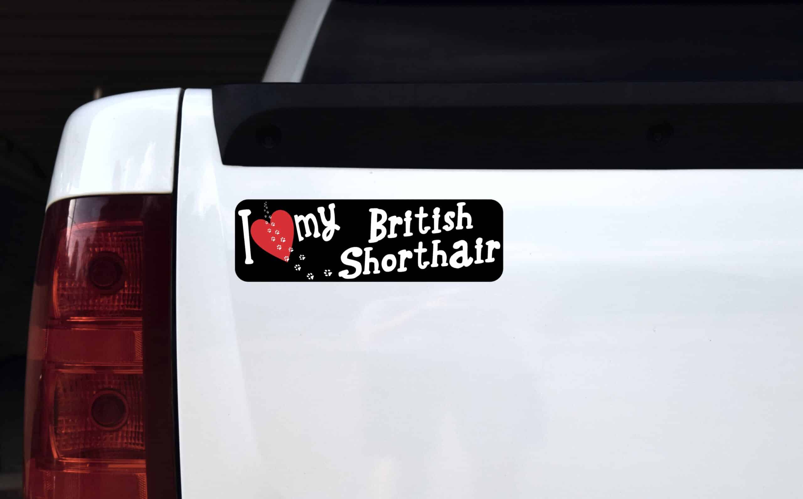 10in x 3in I Love My British Shorthair Bumper Sticker Vinyl Wind