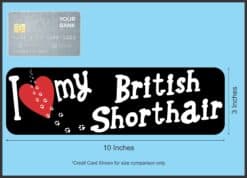 10in x 3in I Love My British Shorthair Bumper Sticker Vinyl Wind
