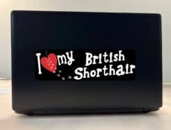 10in x 3in I Love My British Shorthair Bumper Sticker Vinyl Wind