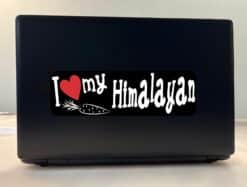 10in x 3in I Love My Himalayan Rabbit Bumper Sticker Vinyl Window Stickers