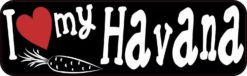 havana rabbit