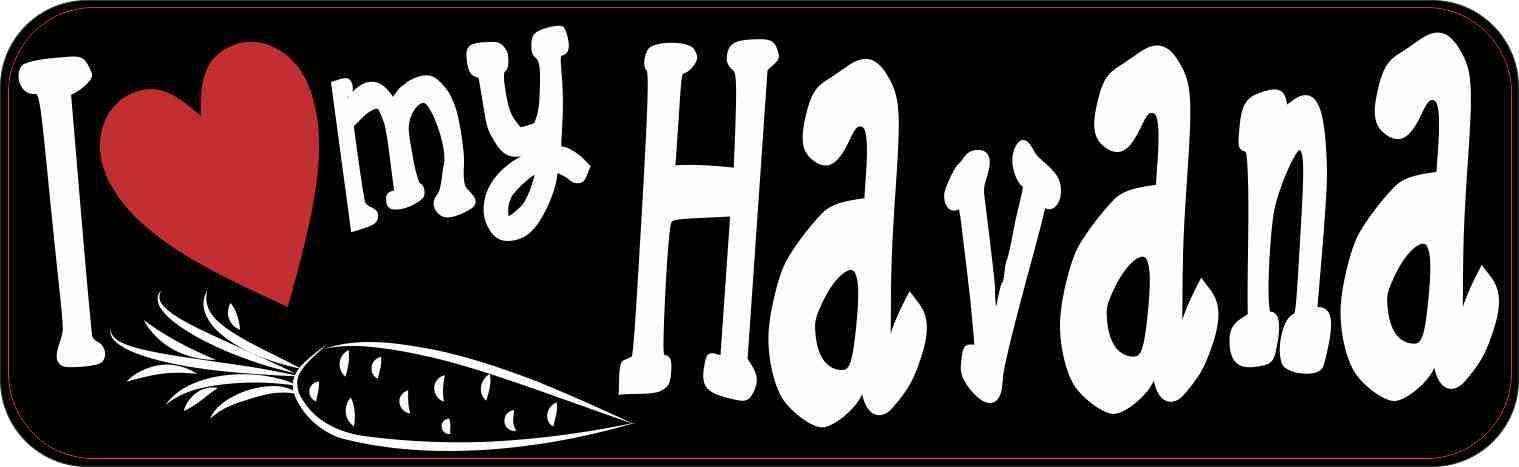 havana rabbit