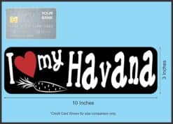 10in x 3in I Love My Havana Rabbit Magnet Magnetic Truck Magnets