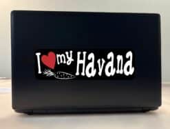 10in x 3in I Love My Havana Rabbit Bumper Sticker Vinyl Window Stickers