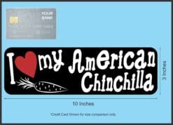 10in x 3in I Love My American Chinchilla Rabbit Bumper Sticker Vinyl Stickers