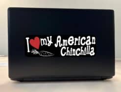 10in x 3in I Love My American Chinchilla Rabbit Bumper Sticker Vinyl Stickers