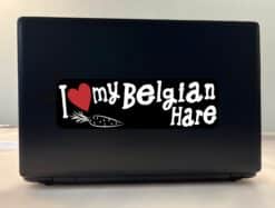 10in x 3in I Love My Belgian Hare Bumper Sticker Vinyl Pet Rabbit Stickers