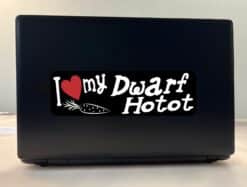 10in x 3in I Love My Dwarf Hotot Rabbit Bumper Sticker Vinyl Window Decal