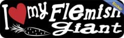 10in x 3in I Love My Flemish Giant Rabbit Bumper Sticker Vinyl Stickers