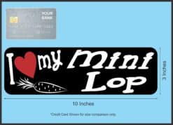 10in x 3in I Love My Mini Lop Rabbit Bumper Sticker Vinyl Truck Window Decal