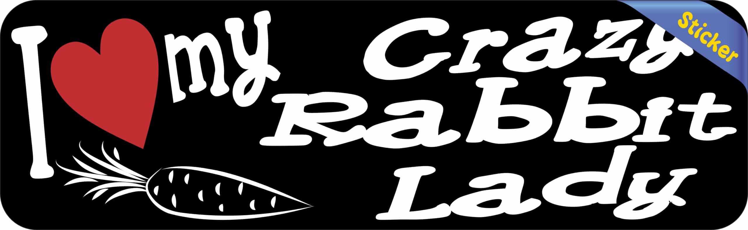 10in x 3in I Love My Crazy Rabbit Lady Bumper Sticker Vinyl Window Stickers