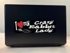 10in x 3in I Love My Crazy Rabbit Lady Bumper Sticker Vinyl Window Stickers