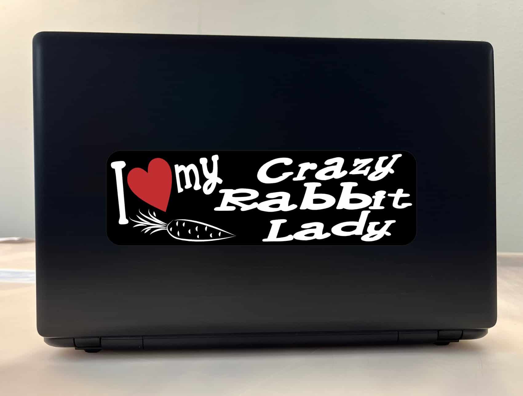 10in x 3in I Love My Crazy Rabbit Lady Bumper Sticker Vinyl Window Stickers