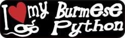 burmese python