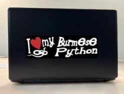10in x 3in I Love My Burmese Python Bumper Sticker Vinyl Truck Window Decal