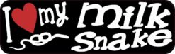milk snake