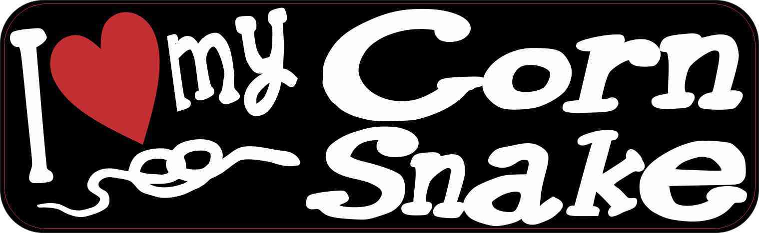 corn snake