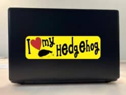 10in x 3in I Love My Hedgehog Bumper Sticker Vinyl Truck Window Pet Decal