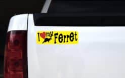 10in x 3in I Love My Ferret Magnet Car Door Magnetic Truck Magnets