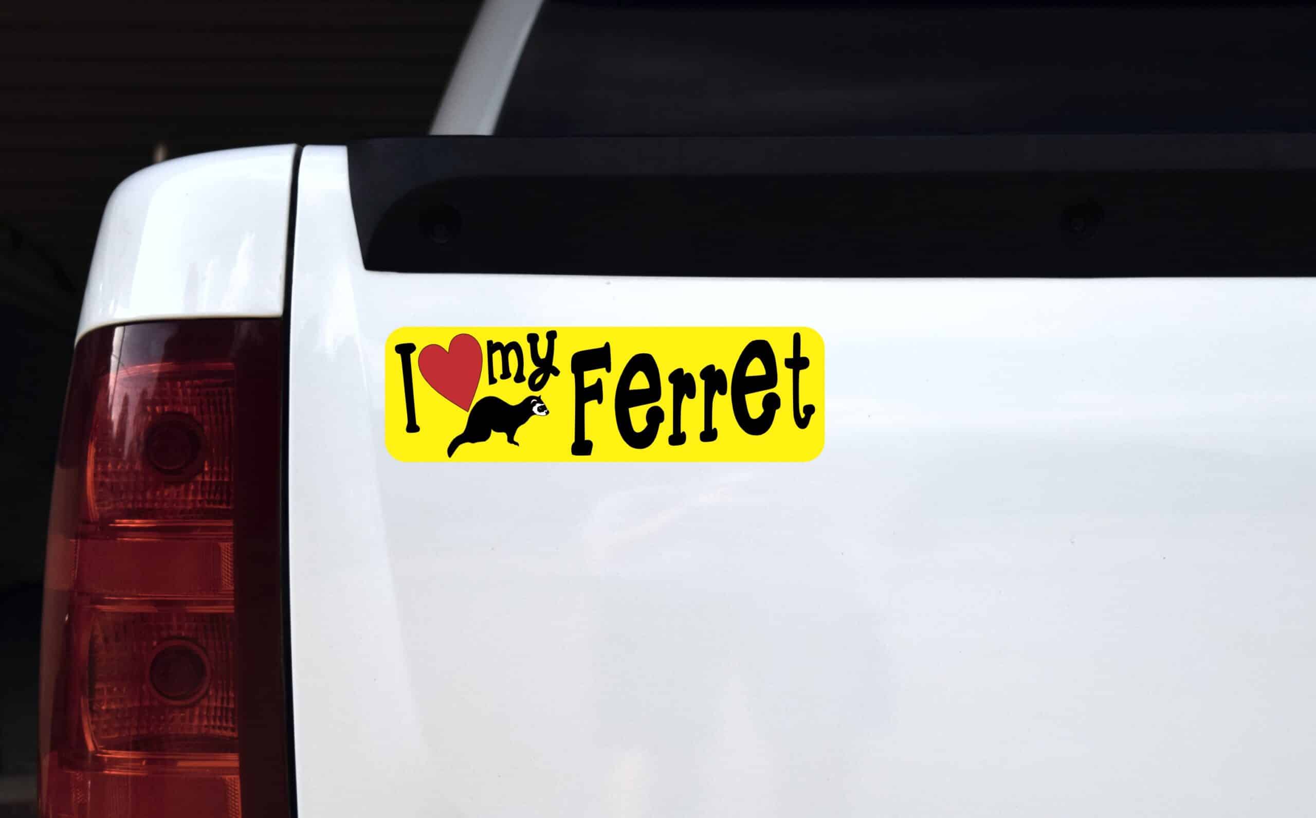 10in x 3in I Love My Ferret Magnet Car Door Magnetic Truck Magnets