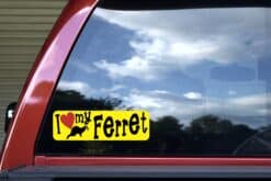 10in x 3in I Love My Ferret Bumper Sticker Vinyl Truck Window Car Decal