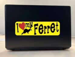 10in x 3in I Love My Ferret Bumper Sticker Vinyl Truck Window Car Decal