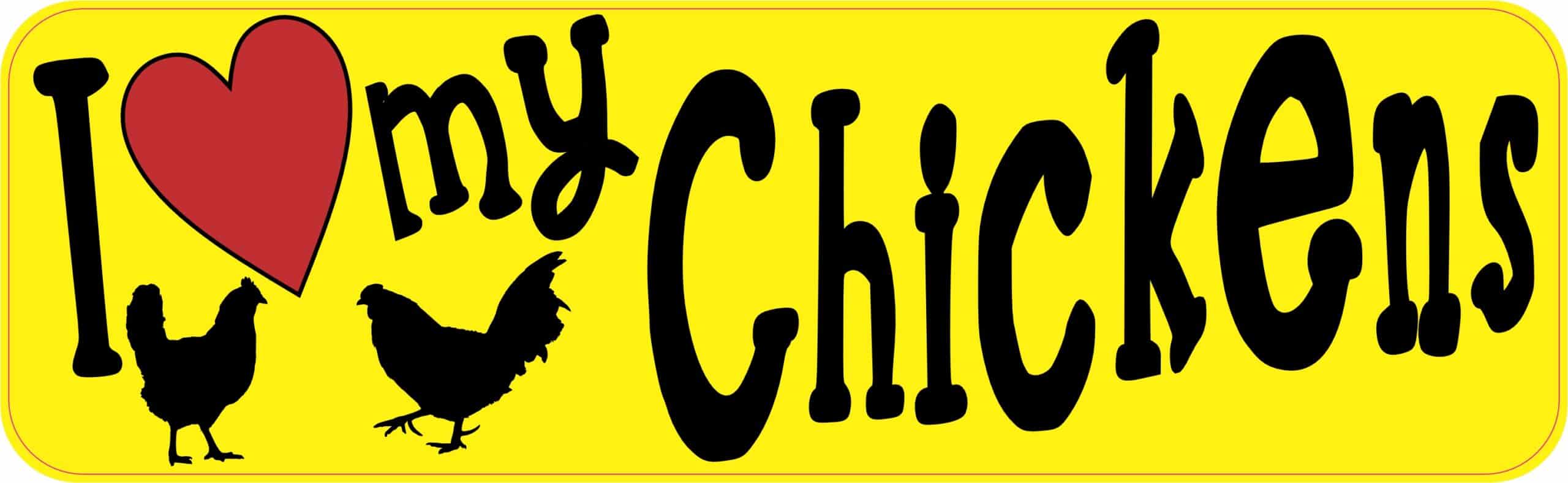 10in x 3in I Love My Chickens Bumper Sticker Vinyl Truck Window Car Decal