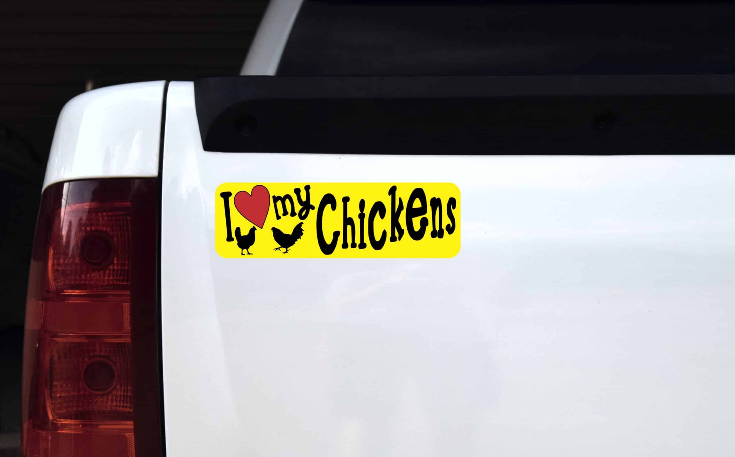 10in x 3in I Love My Chickens Bumper Sticker Vinyl Truck Window Car Decal