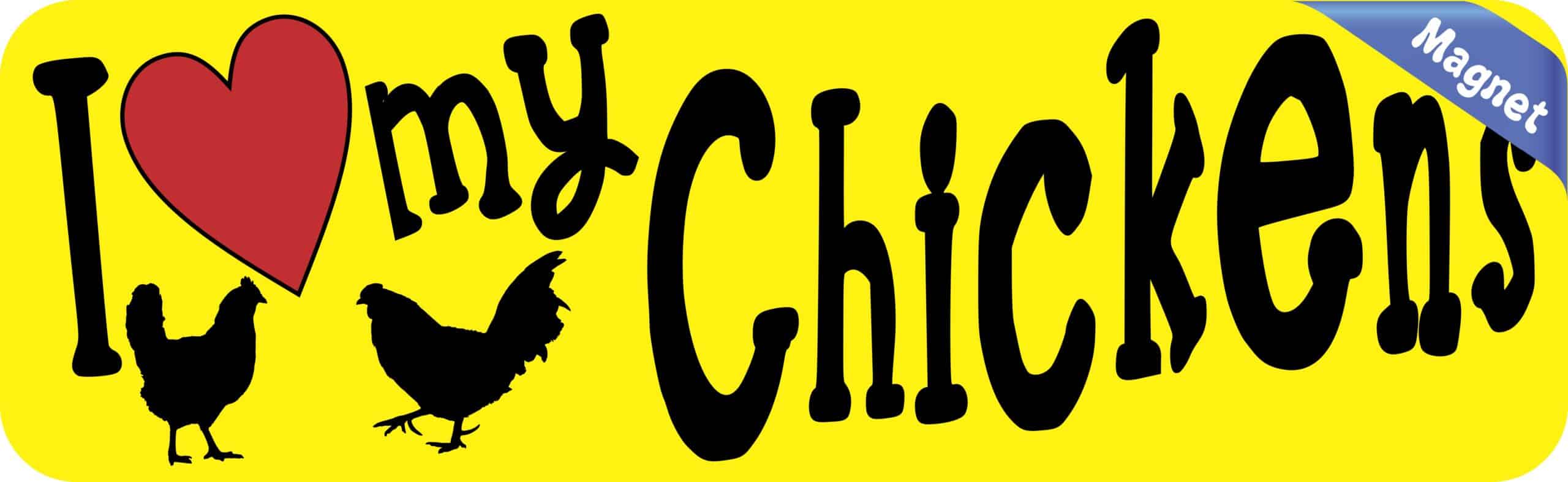 10in x 3in I Love My Chickens Magnet Car Door Magnetic Truck Magnets