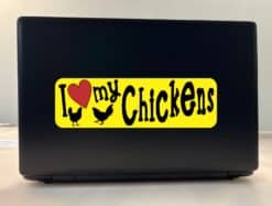 10in x 3in I Love My Chickens Bumper Sticker Vinyl Truck Window Car Decal