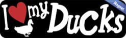 10in x 3in I Love My Ducks Magnet Car Door Magnetic Truck Pet Magnets Sign