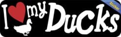 10in x 3in I Love My Ducks Bumper Sticker Vinyl Truck Window Pet Decal