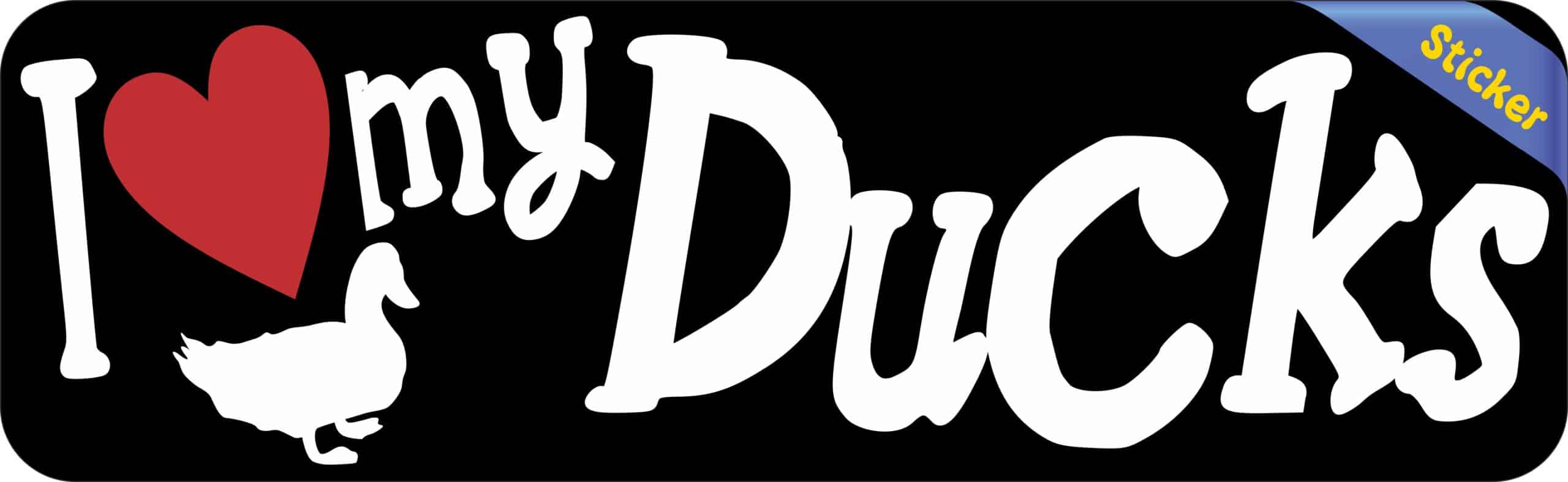 10in x 3in I Love My Ducks Bumper Sticker Vinyl Truck Window Pet Decal