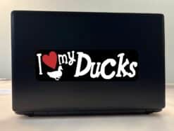 10in x 3in I Love My Ducks Bumper Sticker Vinyl Truck Window Pet Decal