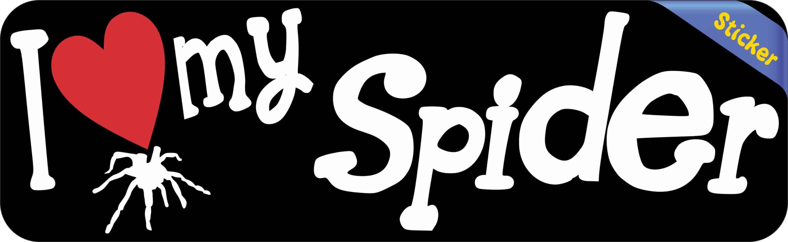 10in x 3in I Love My Spider Bumper Sticker Vinyl Truck Window Pe