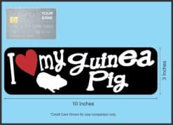10in x 3in I Love My Guinea Pig Magnet Car Door Magnetic Truck Pet Magnets