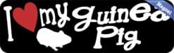 10in x 3in I Love My Guinea Pig Magnet Car Door Magnetic Truck Pet Magnets